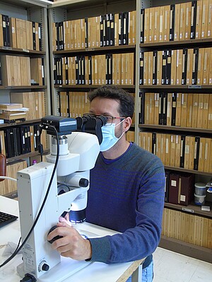 Bruno Mathieu dans son laboratoire à l’Institut de parasitologie de Strasbourg. Crédit YT