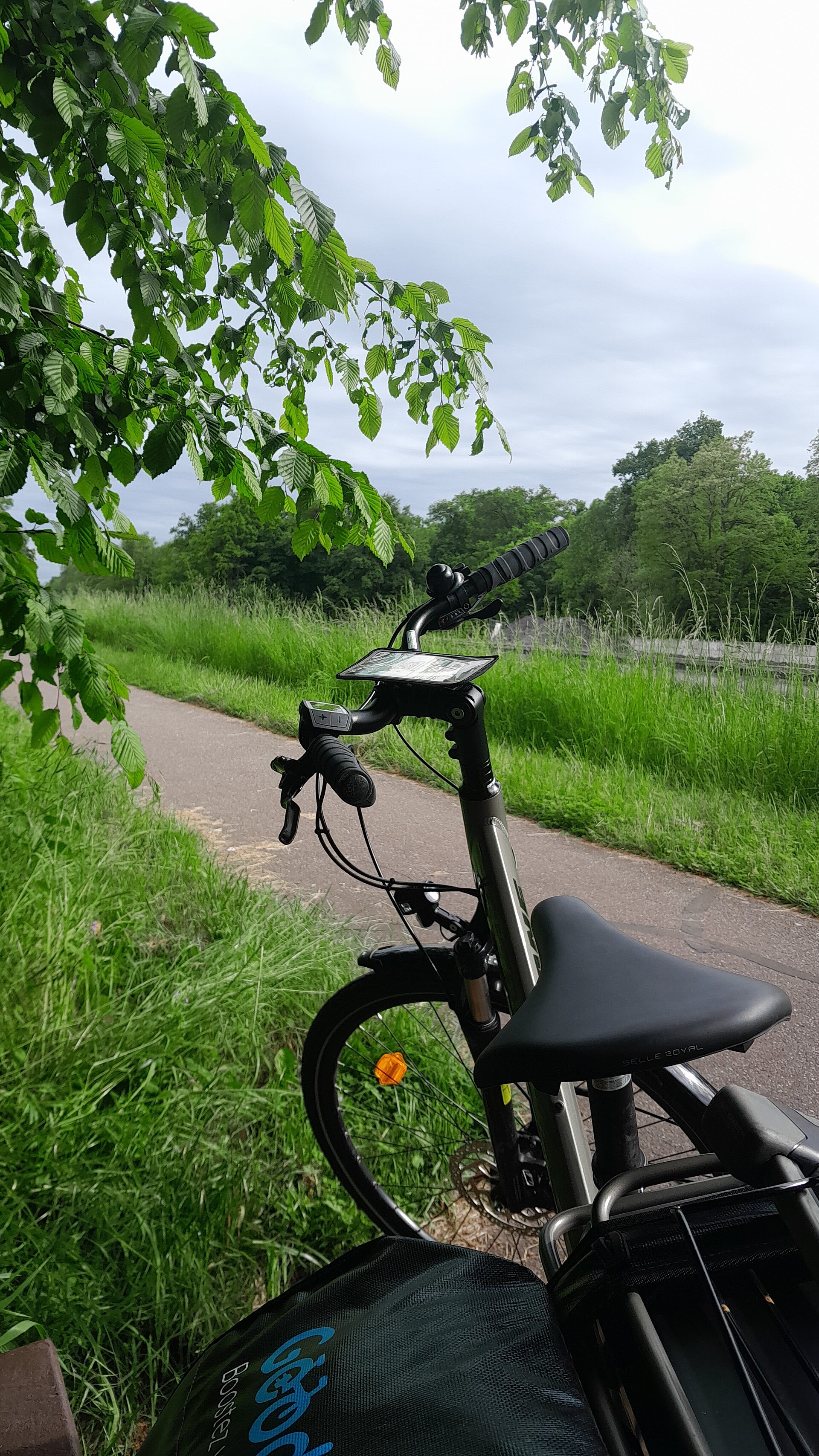 A l IUT de Haguenau on pédale électrique Savoirs Le quotidien de l