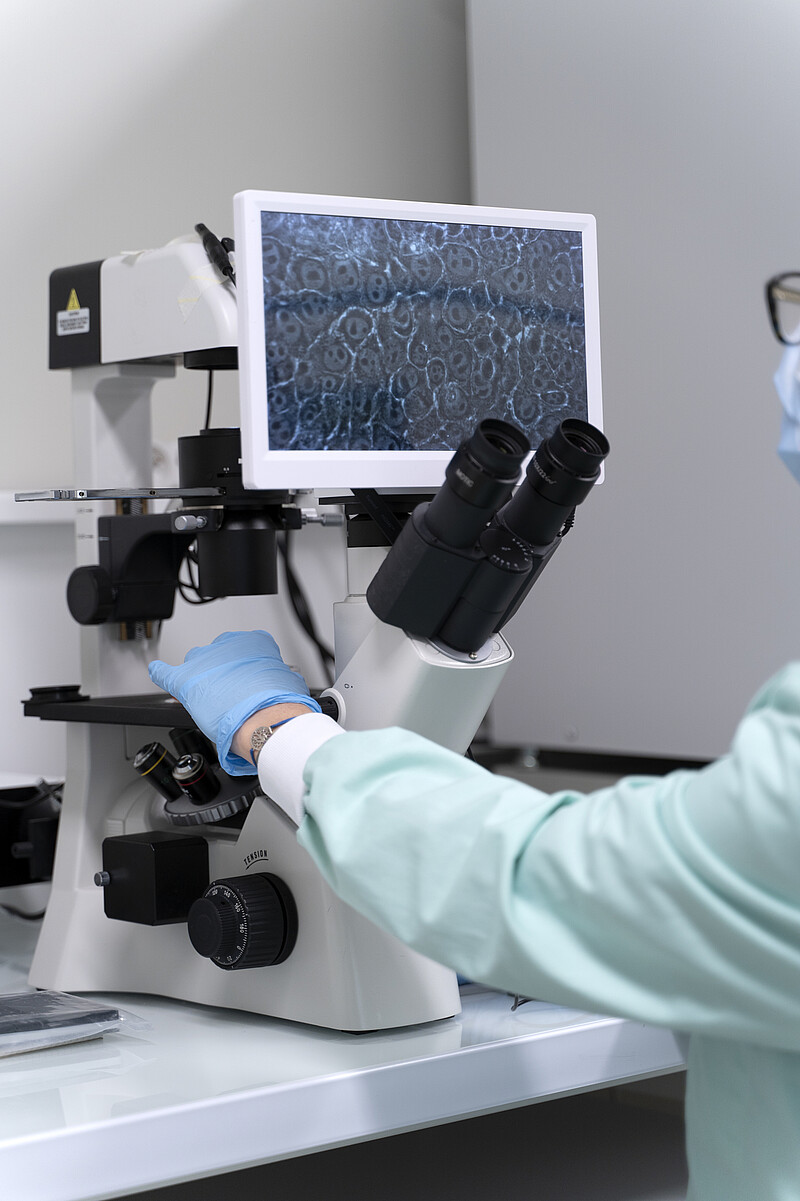 Du laboratoire au lit du patient : une feuille de route resserrée pour la recherche en santé à Strasbourg à l’horizon 2030