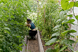 L'entretien du jardin de L'Orée 85 fait partie des missions de Maïwenn. © C. Schröder/Unistra