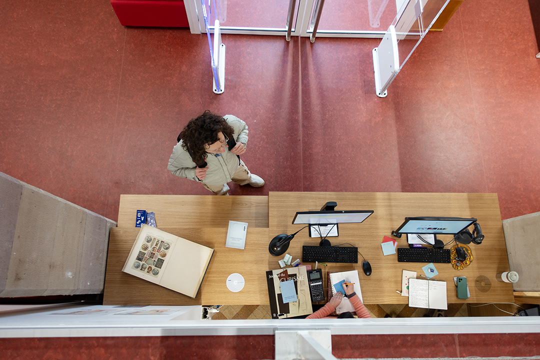 Monographies d’artistes, manuels en sciences de l’eau et de la terre, cartes IGN et géologiques, bandes-dessinées, littérature, albums jeunesse… Les étudiantes et étudiants ont retrouvé avec plaisir les collections des bibliothèques de l’Eost, de l’Engees et de la Hear. 