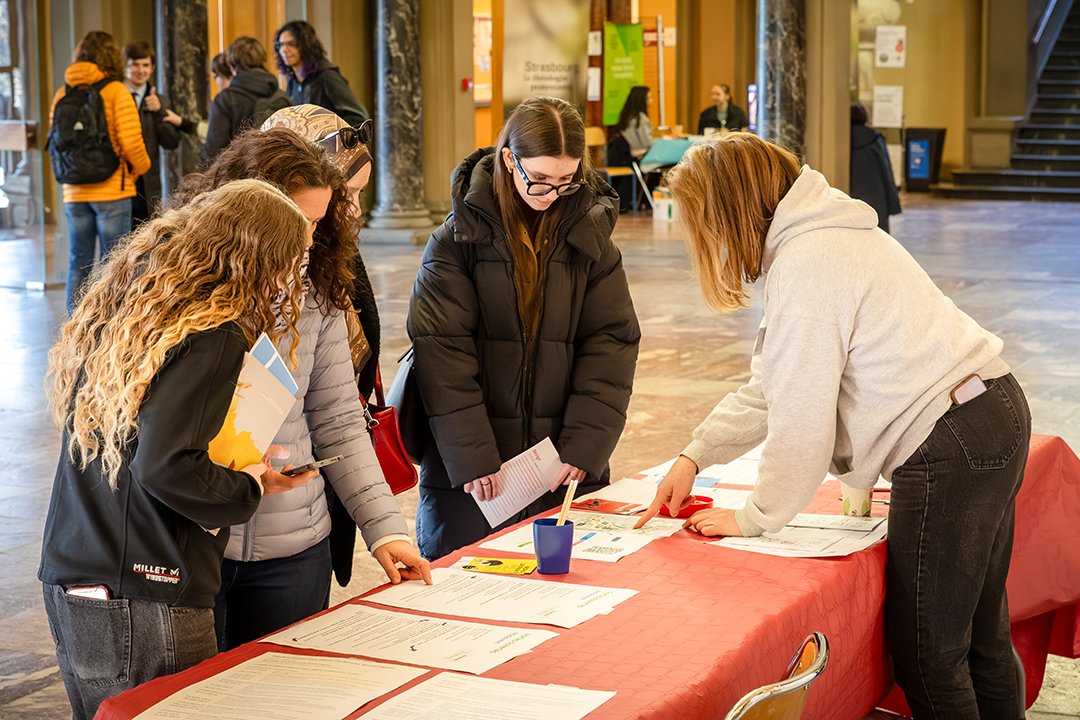 Les cursus en sciences historiques, arts et théologie étaient accessibles au Palais universitaire.