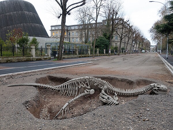 Le squelette de mégalosaure a été découvert dans la rue de l’université, sur le campus historique de l’Université de Strasbourg. ©Photo Catherine Schroder, retravaillée par IA par Sarah Savoyen-Glass