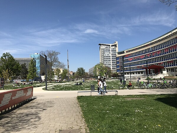 Campus de l'Esplanade © Schroder / Unistra