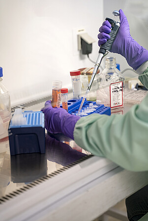 Dans un des laboratoires du Centre de recherche en biomédecine de Strasbourg (Unistra/Inserm) © Catherine Schröder/Unistra.