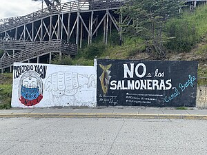 Dessins contre la salmoniculture, Puerto Williams, janvier 2020. ©Geremia Cometti