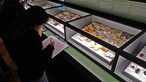 Concentration pour dessiner un papillon, dans la salle des arthropodes. © Catherine Schröder / Unistra