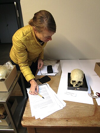 Tricia Close-Koenig examine une pièce ostéologique à l'Institut d'anatomie normale lors du récolement. ©Michel Van Praët