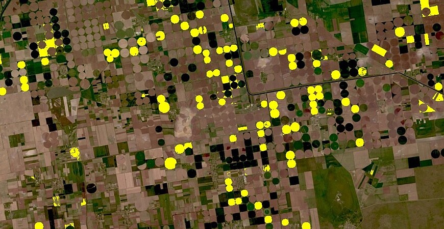 L'équipe RAAPS de NASA Harvest utilise l'imagerie satellite pour notamment cartographier le colza en fleurs, l'une des cultures oléagineuses les plus importantes soit 13 % de l'approvisionnement mondial en huiles végétales. ©NASA Harvest, Unistra, APK-Inform Ukraine