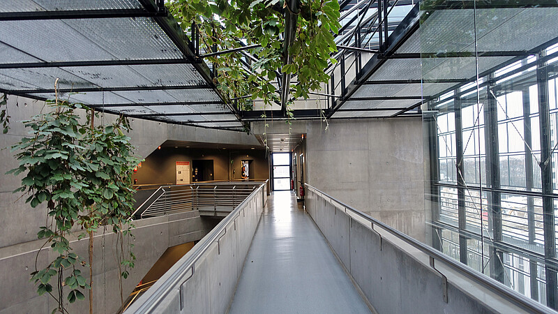 Le bâtiment compte 4 500 m2 répartis sur cinq étages. © C.Schröder/Unistra