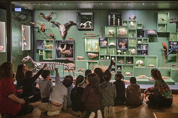 La curiosité s'éveille au contact des spécimens du cabinet Hermann. © Catherine Schröder / Unistra