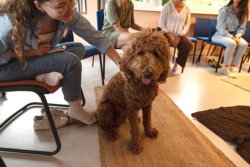 J’ai testé pour vous : la médiation animale contre le stress