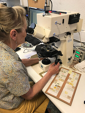 L'histologiste Catherine Cannet examine une lame extraite d'un plateau, dans son bureau de l'Institut de médecine légale.