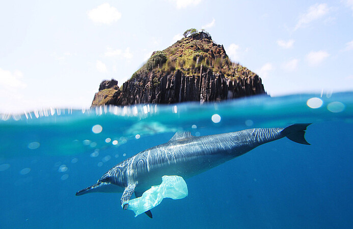 8 millions de tonnes de déchets plastique finissent chaque année dans les océans. ©  Jedimentat44 / Flickr