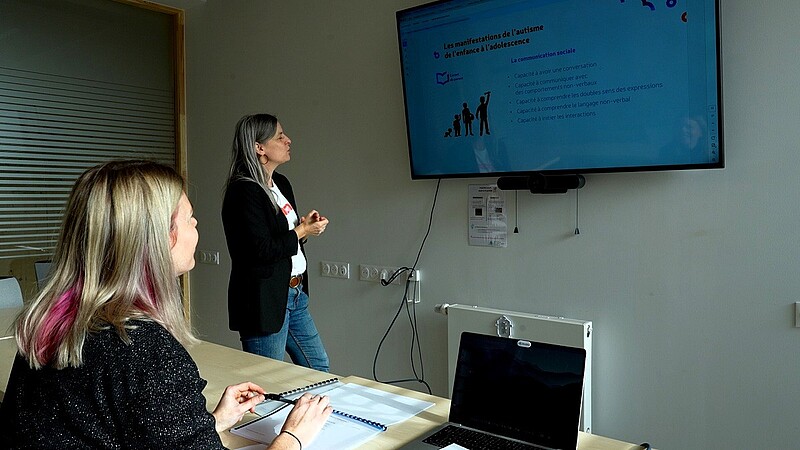AAASPI est conçu par Céline Clément et Jennifer Ilg du Laboratoire interuniversitaire des sciences de l'éducation et de la communication (Lisec - Unistra/UHA/Université de Lorraine). ©Capture d'écran