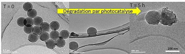 Images de nanobilles de polystyrène au microscope électronique à transmission. Crédit Icpees