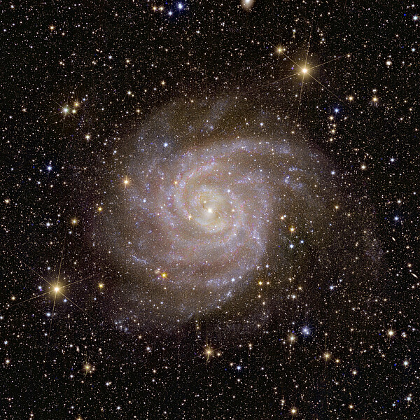Galaxie spirale IC 342 (Caldwell 5). © ESA/Euclid/Euclid Consortium/NASA, image processing by J.-C. Cuillandre (CEA Paris-Saclay), G. Anselmi; CC BY-SA 3.0 IGO