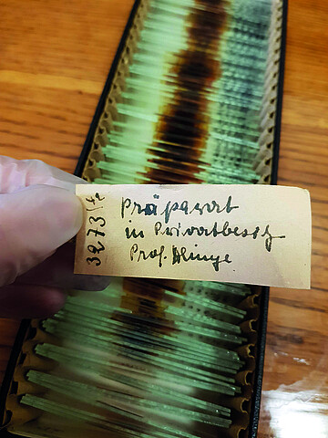 Morceau de papier inséré à la place d’une lame et indiquant que la lame manquante se trouve dans la collection privée du professeur Klinge © CHRUS