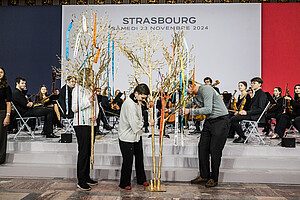 Des arbres pour matérialiser la réconciliation franco-allemande : c'est l'action très symbolique menée par des jeunes des deux pays, dans le cadre de l'Office franco-allemand pour la jeunesse. De nombreux étudiants des universités d'Eucor étaient aussi dans la salle. © Pascal Bastien