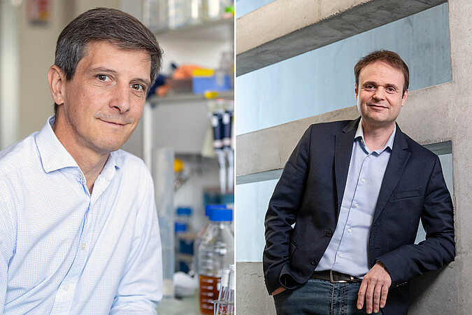 Joseph Schacherer et Nicolas Giuseppone sont tous deux lauréats d’un prestigieux ERC Advanced. © Catherine Schröder / Unistra