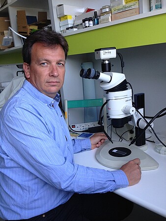 Dominique Bagnard dirige ces recherches au sein du laboratoire de Biopathologie de la myéline, neuroprotection et stratégies thérapeutiques (U1119, Inserm/Unistra) qui fait partie de l'Institut du médicament de Strasbourg.