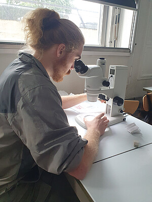 Oscar Schaeffer observe le résultat de la collecte à la loupe binoculaire. © Enzo Jugieau