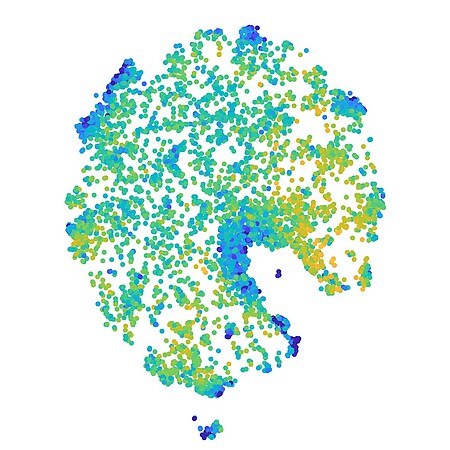 Image de l'activité cérébrale des souris Alzheimer après stimulation lumineuse. ©Matthieu Aguilera
